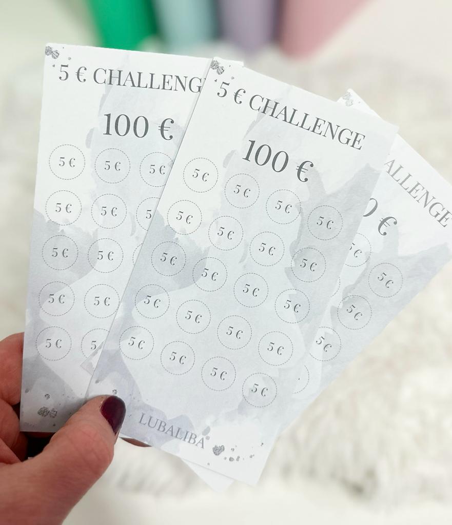 5€ Challenge Sheet Budget Planer Budget Binder